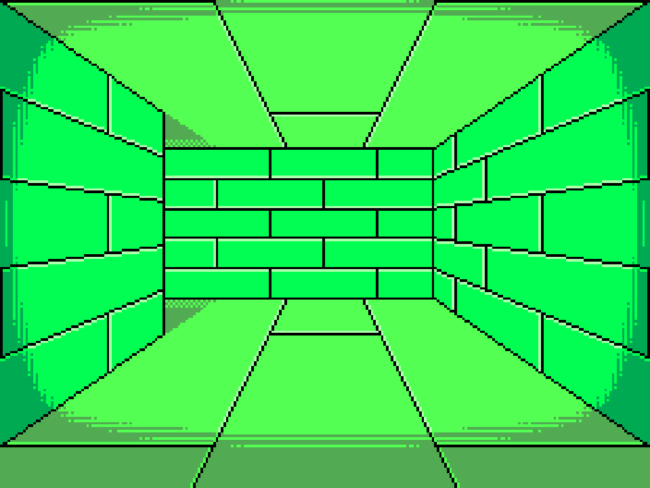 One of the many 3D dungeons in this game.