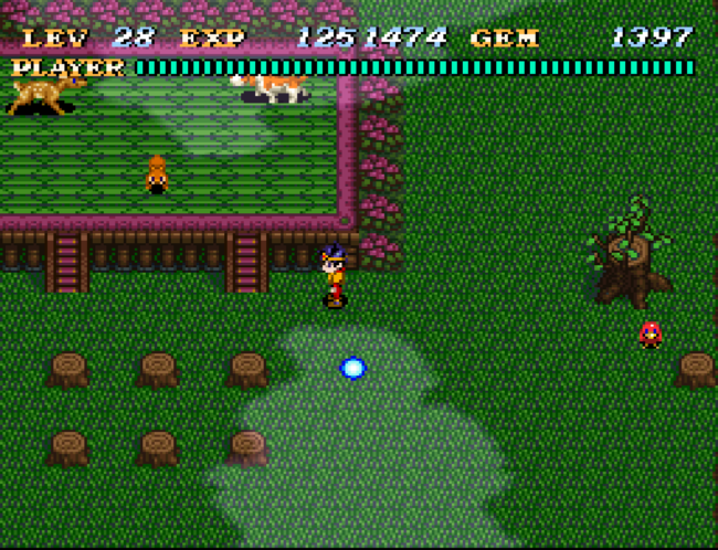 Exploring the forest town.
