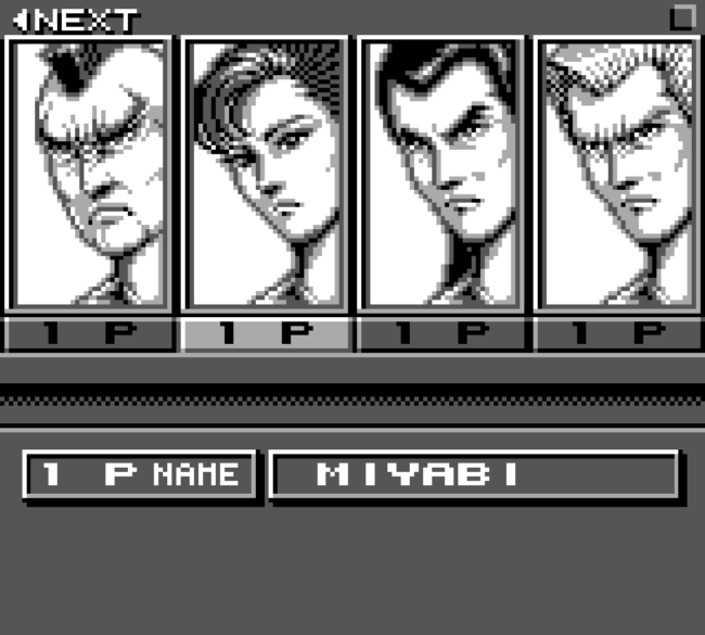 The character select screen in Raging Fighter.