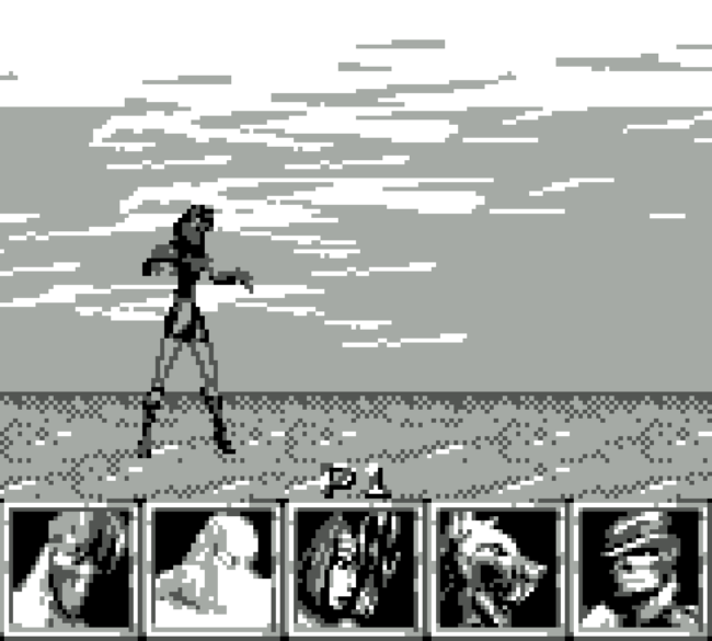 The character select screen in the Game Boy version of Killer Instinct.