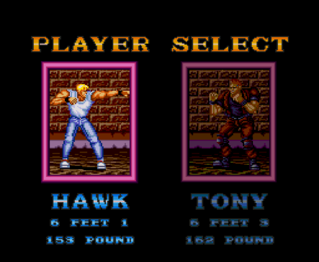 The in-game character select screen.