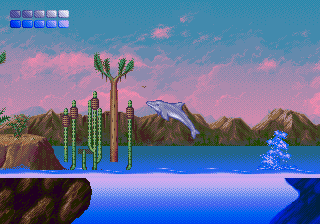 Ecco leaps out of the water with the sun setting in the background.